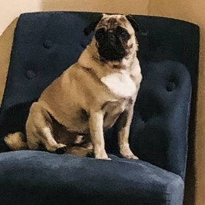 Meet your Posher, Beverly